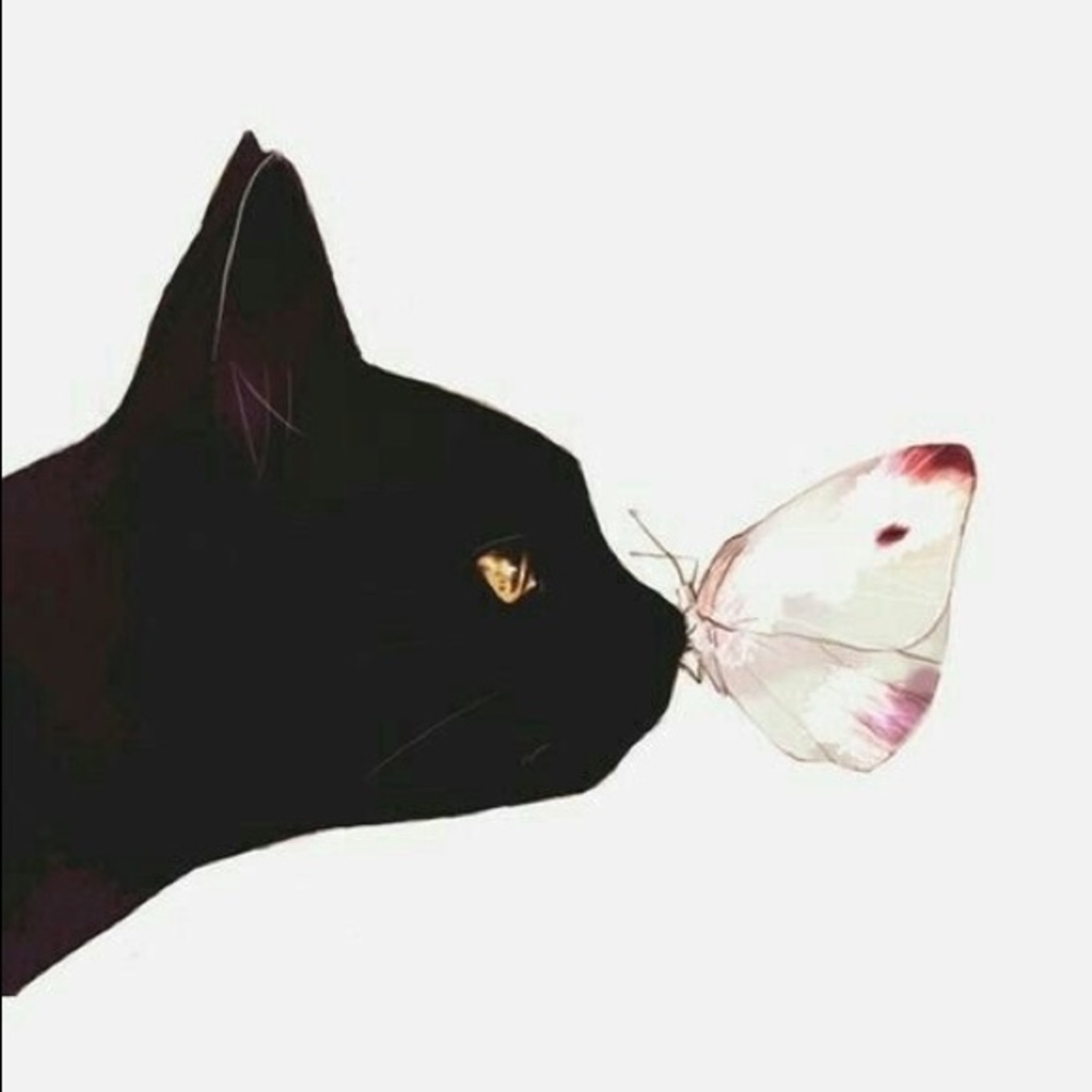 Meet your Posher, Chloe